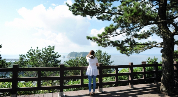 섬이보이는펜션