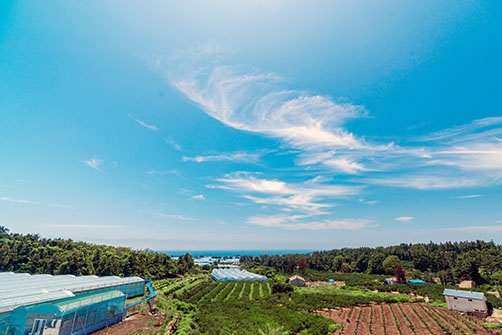 제이팜 휴양펜션