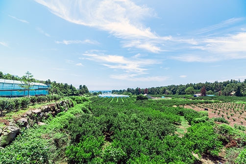 제이팜 휴양펜션