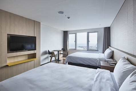 디럭스패밀리트윈