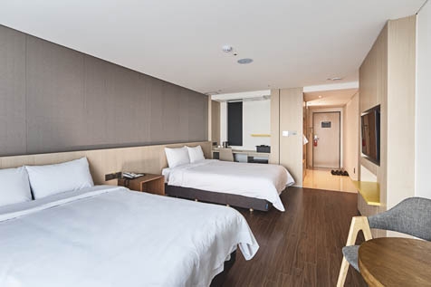 디럭스패밀리트윈