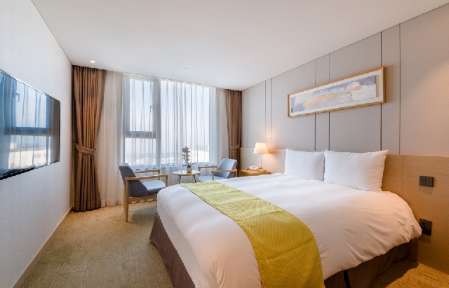 스탠다드 더블-조식불포함